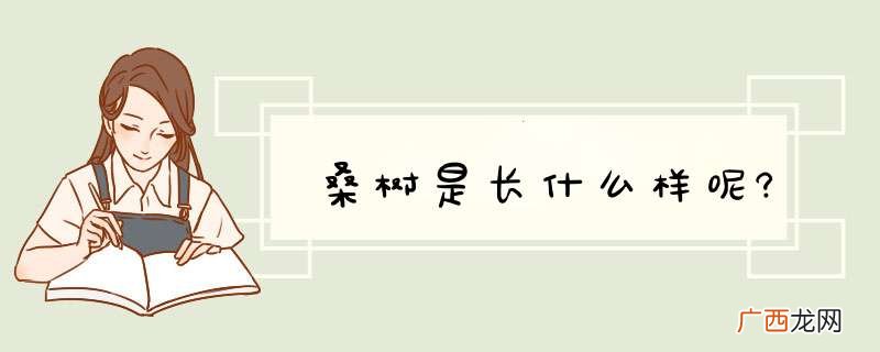 桑树是长什么样呢?
