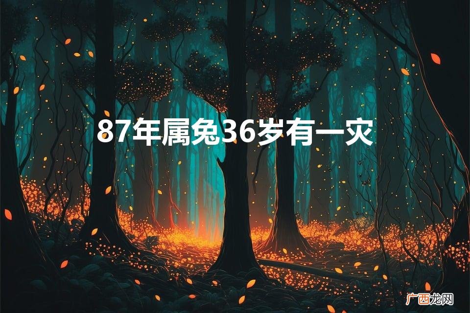 87年属兔36岁有一灾
