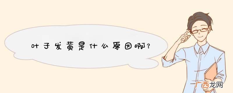 叶子发黄是什么原因啊？