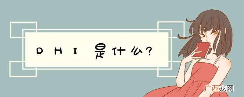 DHI是什么?