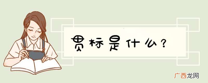 贯标是什么？