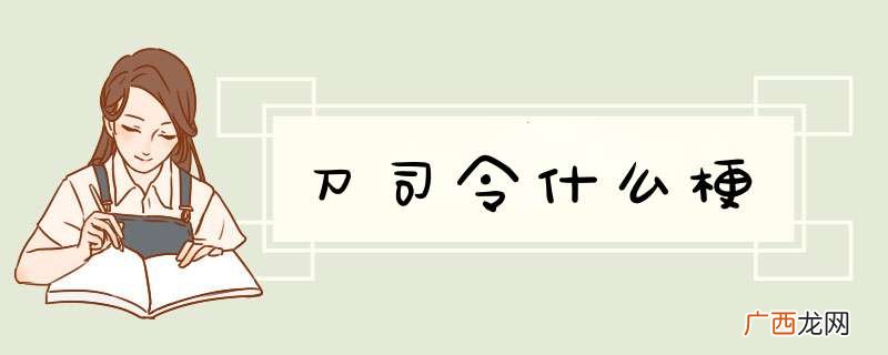 刀司令什么梗