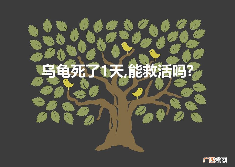 乌龟刚死能救活么 乌龟死了1天,能救活吗?
