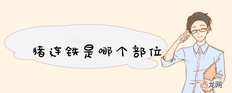 猪连铁是哪个部位