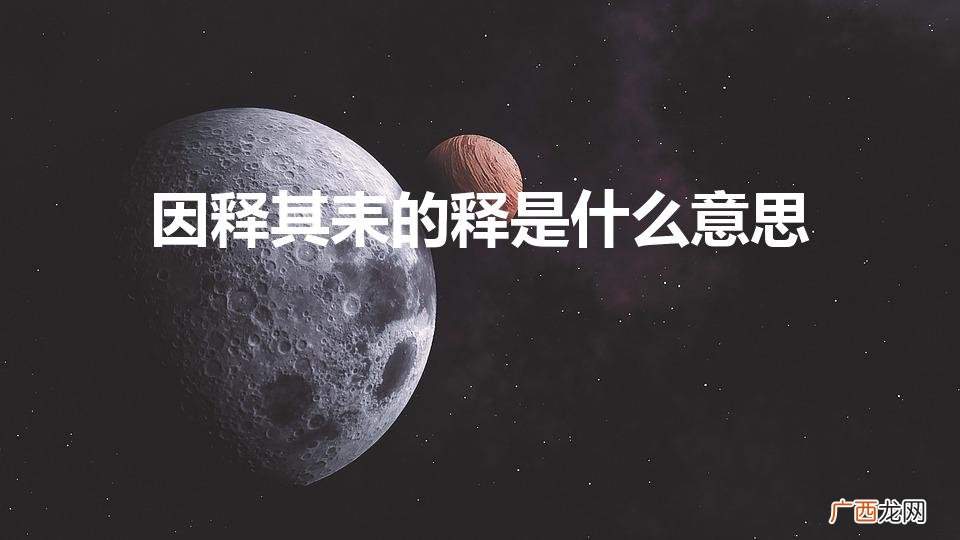 因释其耒而守株的释意思是什么 因释其耒的释是什么意思