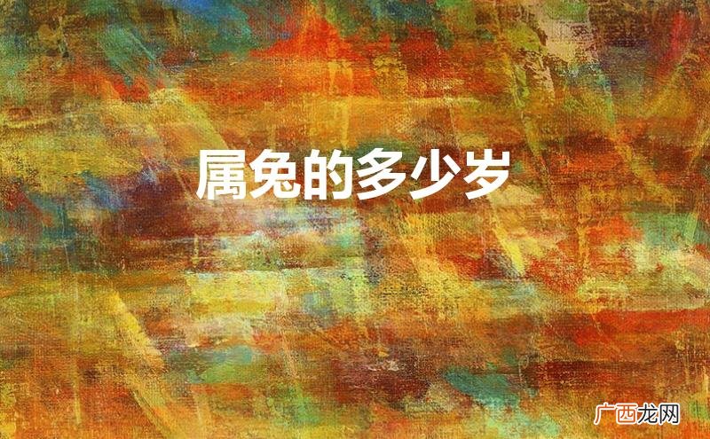 属兔的多少岁数2023 属兔的多少岁