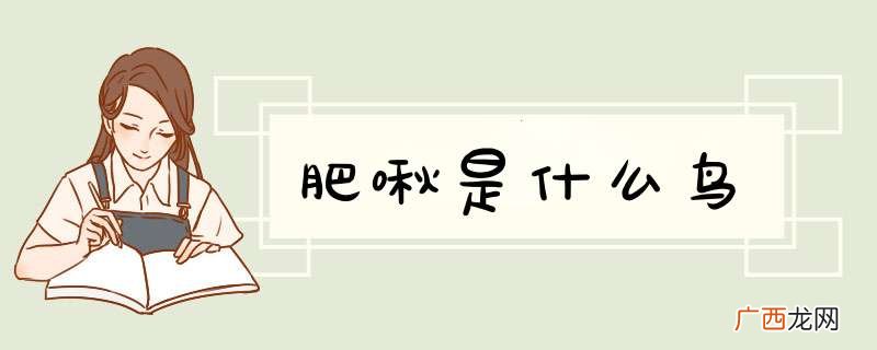 肥啾是什么鸟