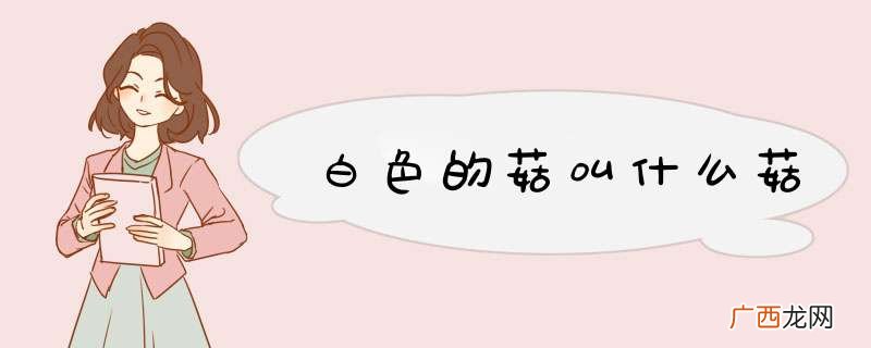 白色的菇叫什么菇