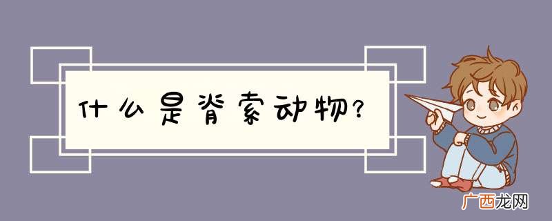 什么是脊索动物？