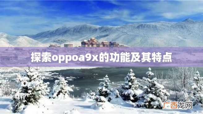 探索oppoa9x的功能及其特点