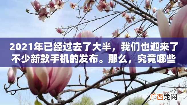 2023年已经过去了大半，我们也迎来了不少新款手机的发布。那么，究竟哪些手机成为了口碑最好的手机呢？下面就来为读者介绍一下2023年口碑最好的手机。