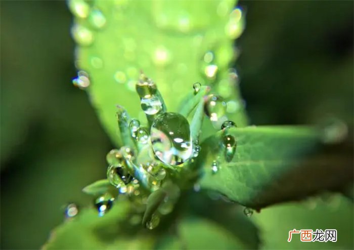 十天干之癸水：既聪明秀气 又潜藏神秘 如为日主喜用则随季而变