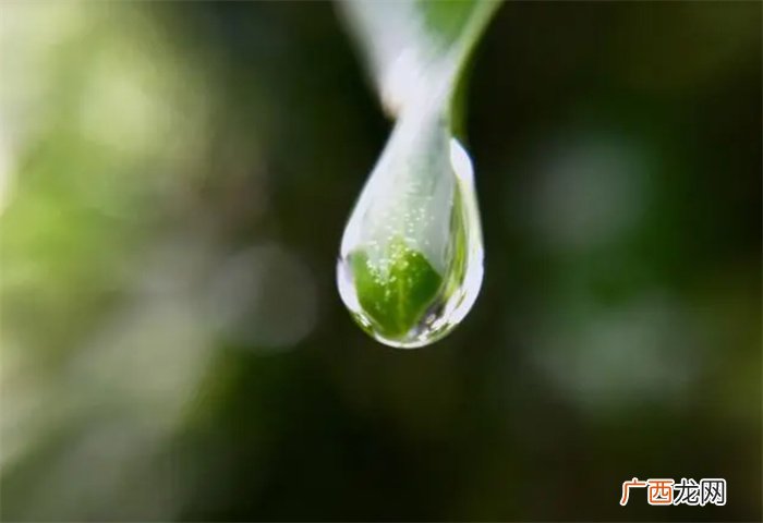 十天干之癸水：既聪明秀气 又潜藏神秘 如为日主喜用则随季而变
