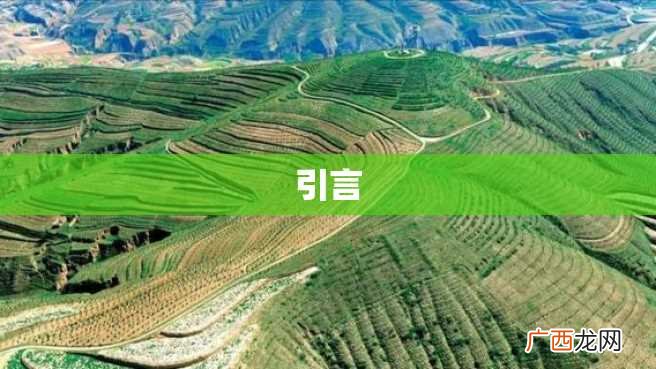 引言
