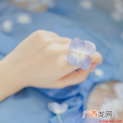 女子的手柔是植物初生的叶芽 柔荑指女子的什么地方