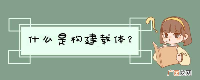 什么是构建载体？