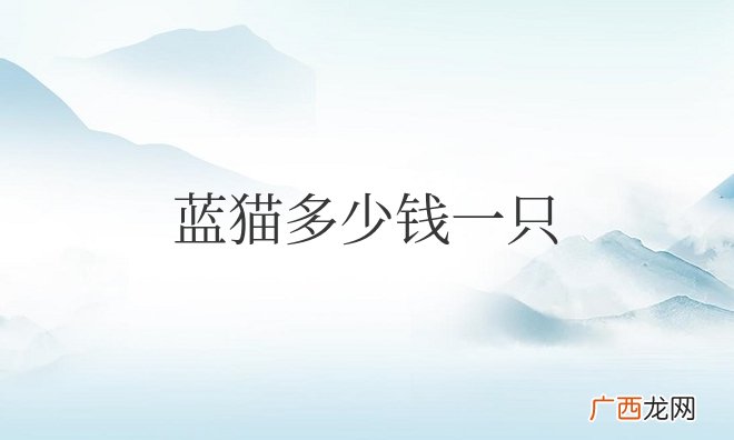 蓝猫多少钱一只正常价