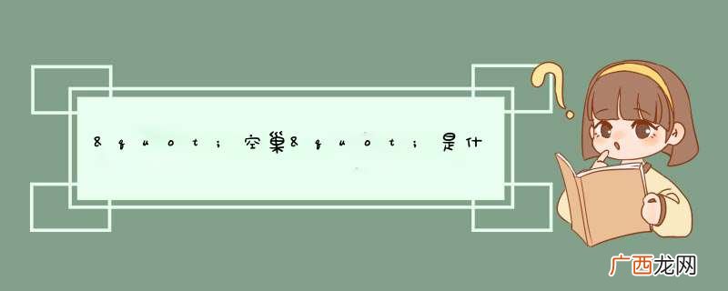 "空巢"是什么意思?