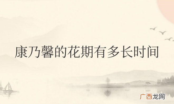 康乃馨的花期有多长时间