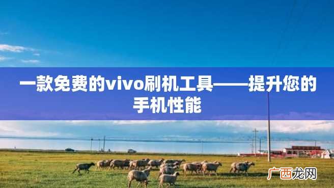 一款免费的vivo刷机工具——提升您的手机性能
