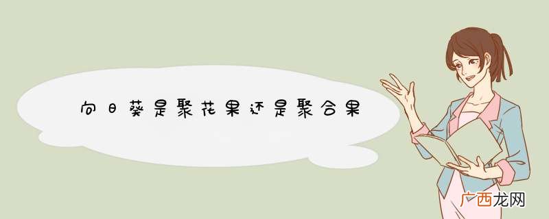 向日葵是聚花果还是聚合果