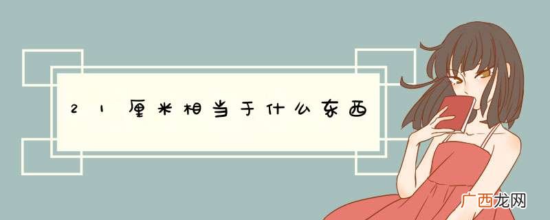21厘米相当于什么东西