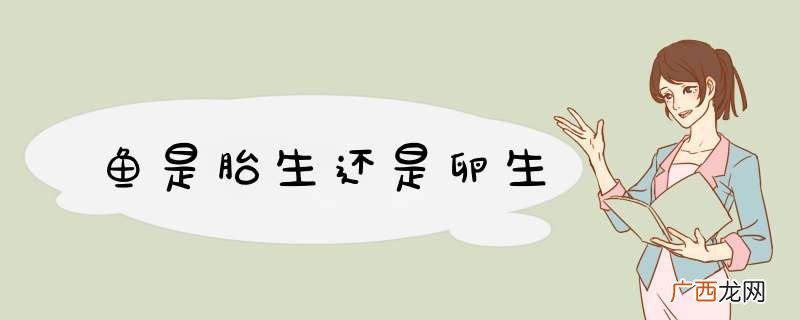 鱼是胎生还是卵生
