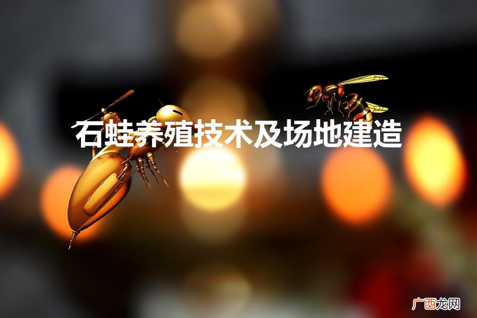 石蛙的养殖技术及场地建造是什么 石蛙养殖技术及场地建造