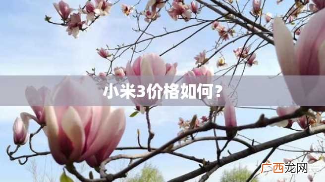 小米3价格如何？