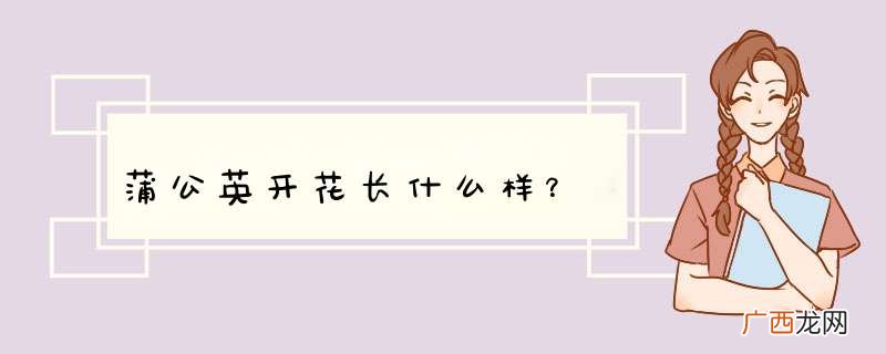蒲公英开花长什么样？