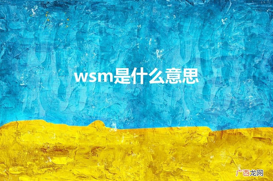 WSM是什么意思 wsm是什么意思