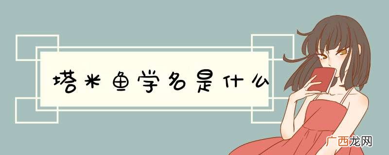 塔米鱼学名是什么