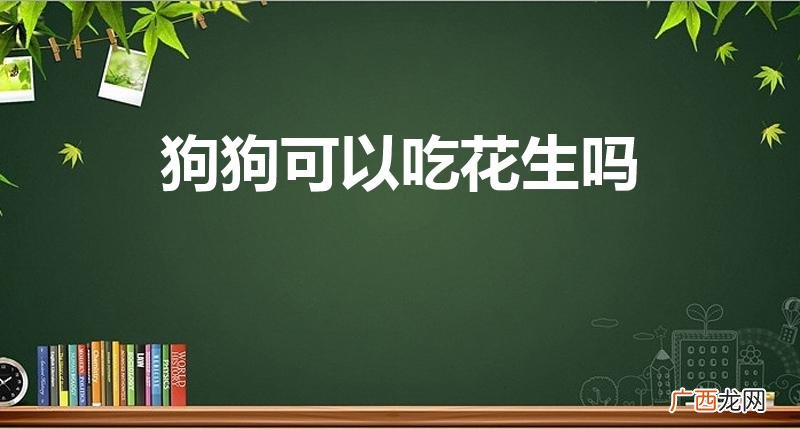 狗能吃花生吗 狗狗可以吃花生吗