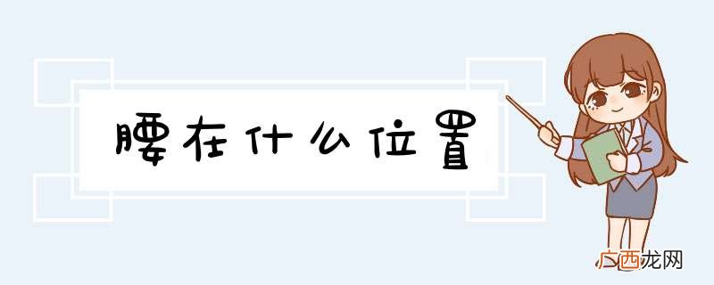 腰在什么位置