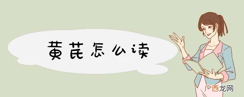 黄芪怎么读