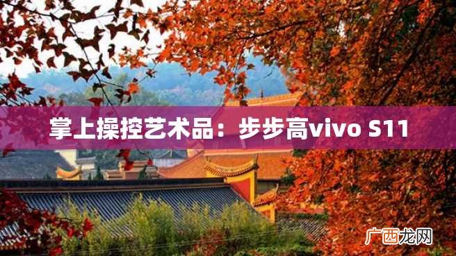 掌上操控艺术品：步步高vivo S11