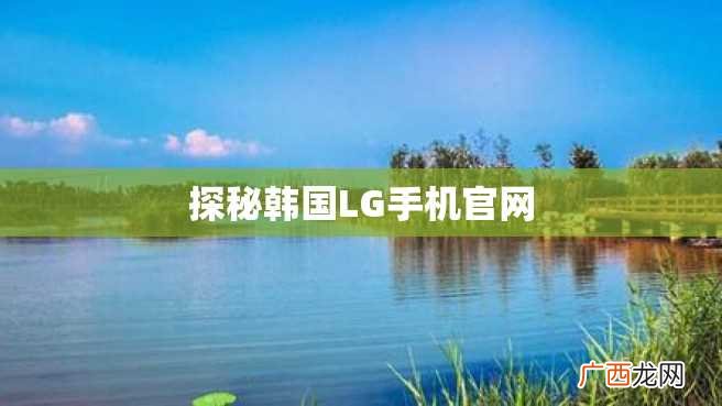 探秘韩国LG手机官网