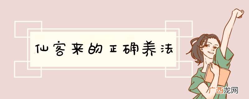 仙客来的正确养法