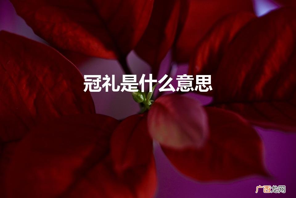冠礼和笄礼的区别是什么 冠礼是什么意思