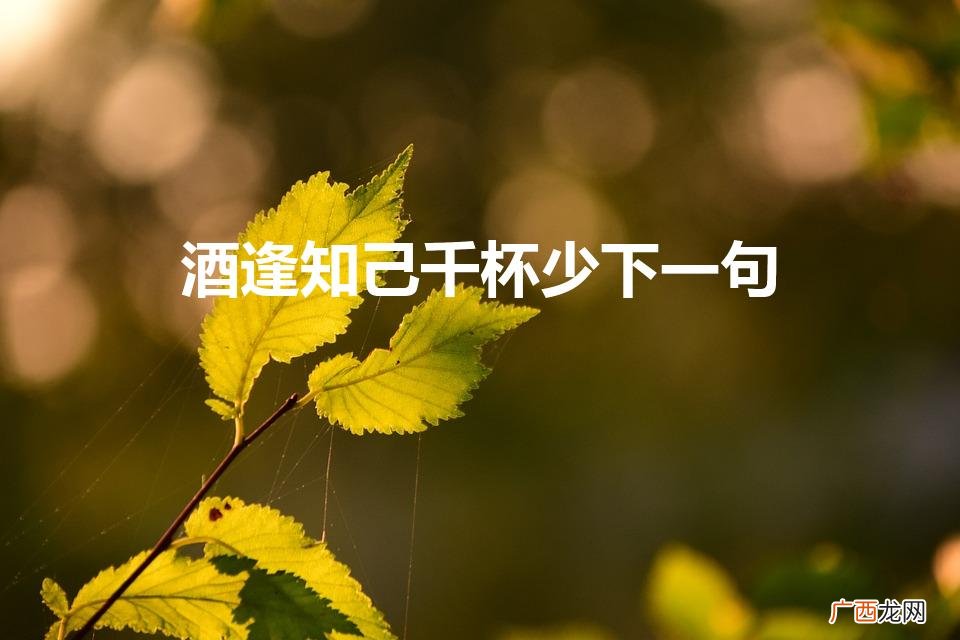 杯底留欢不到千杯 酒逢知己千杯少下一句