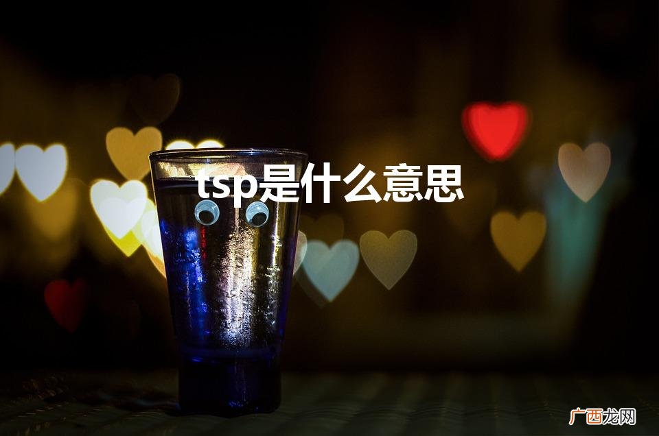 ,隧道量测中TSP是什么意思 tsp是什么意思