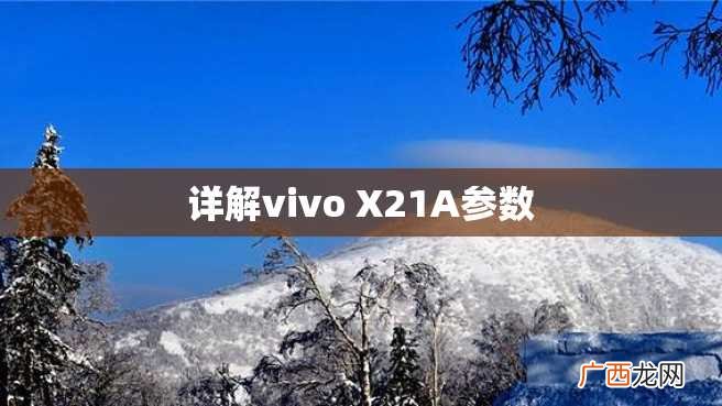 详解vivo X21A参数
