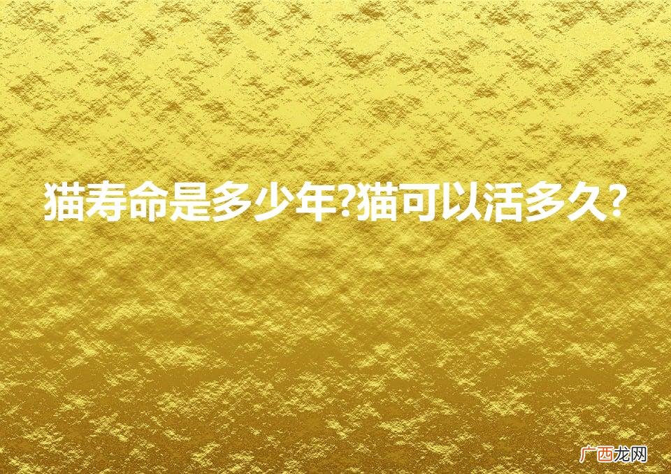猫的寿命有多长？ 猫寿命是多少年?猫可以活多久?