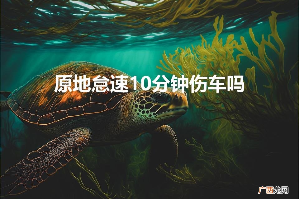 原地热车10分钟有什么影响吗 原地怠速10分钟伤车吗