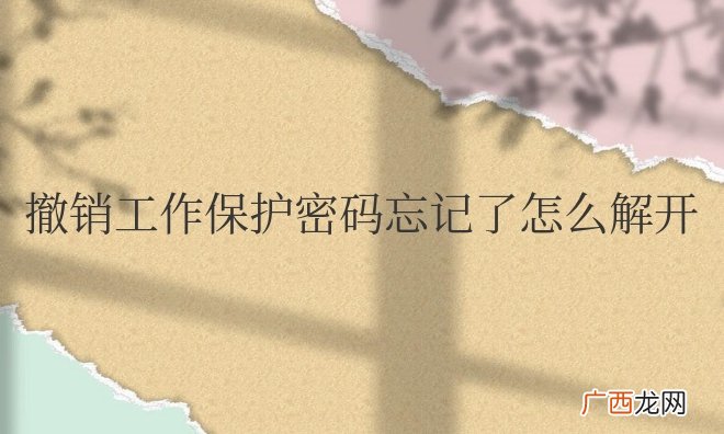 wps撤销工作保护密码忘记了怎么解开