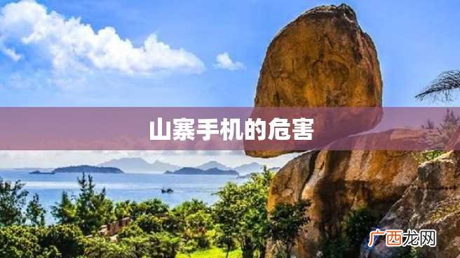 山寨手机的危害