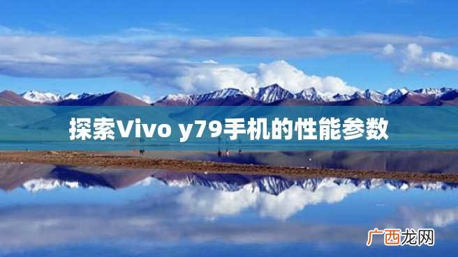 探索Vivo y79手机的性能参数