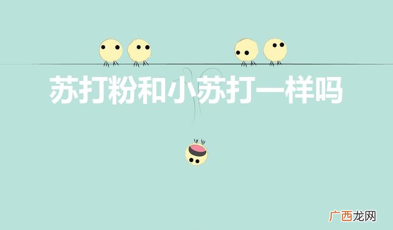 小苏打和苏打粉有什么区别 苏打粉和小苏打一样吗