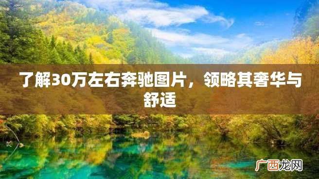 了解30万左右奔驰图片，领略其奢华与舒适