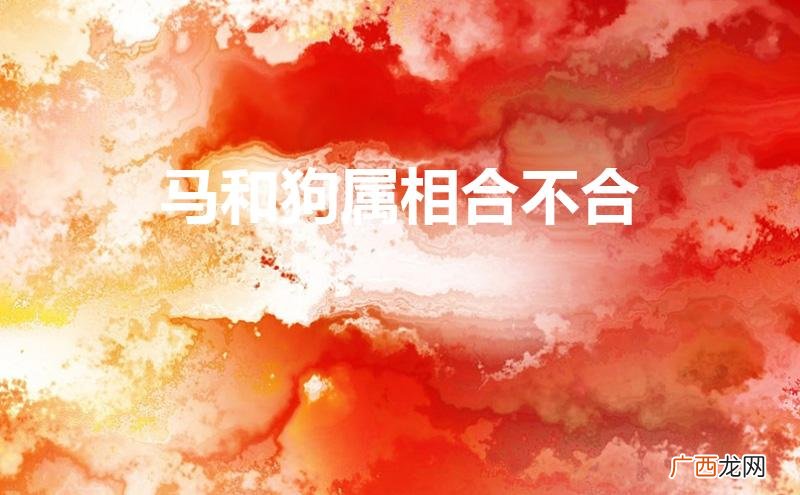 马和狗属相合不合婚姻 马和狗属相合不合